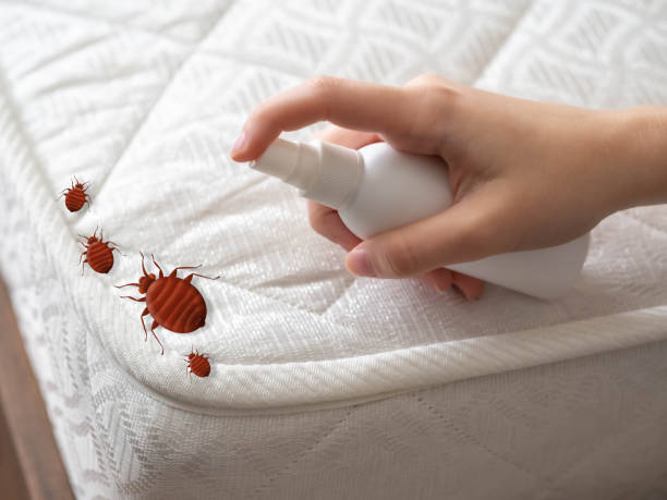 Best Residential Pest Control  in Brooklyn Park, MN